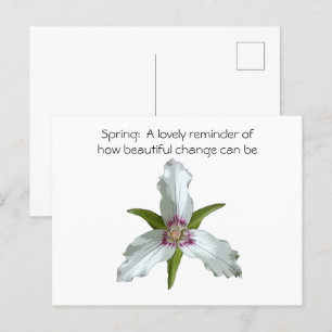 Färgat vykort för Trillium Vår Wildblomma