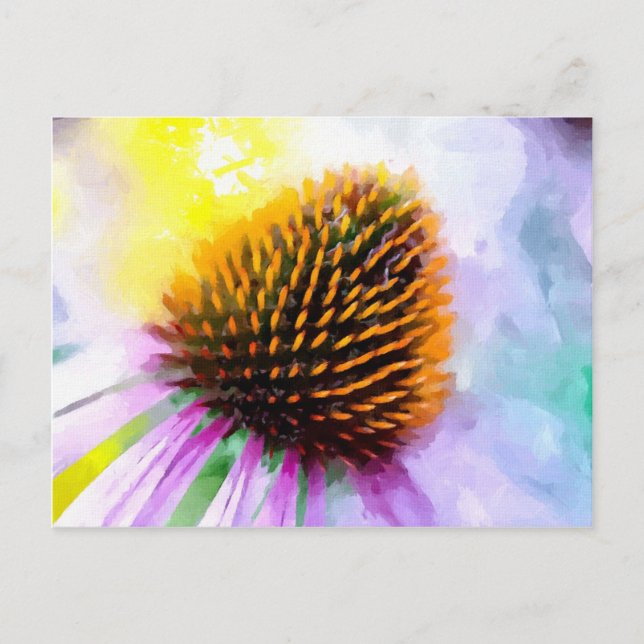Färgat vykort för Vågrät Coneflower (Framsida)