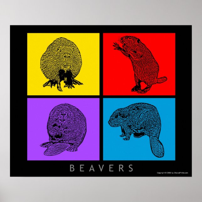 Färgbeaver Poster (Framsidan)