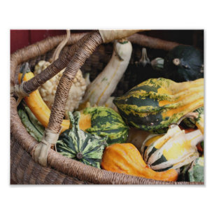 Färgbeklädnad i Wicker Basket, höst 8 x 10 Fototryck