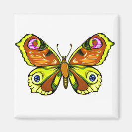 Färgbeläggning 5 magnet