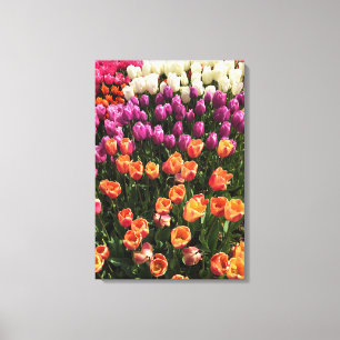 Färgbeläggning av Tulip Garden Bed Oregon Canvastryck