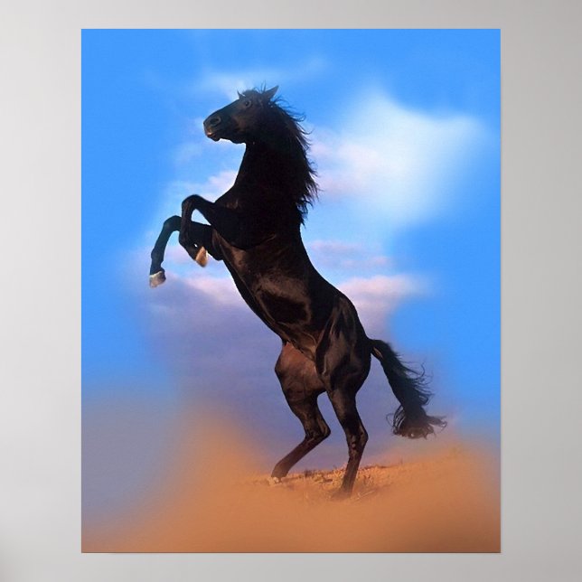 Färgbeläggning Black Horse Blå himmel Poster (Framsidan)
