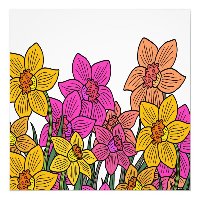 Färgbeläggning Daffodils Blommor Fototryck (Framsidan)