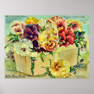 Färgbesprutade blomstermaskiner Vintage Förpacknin Poster