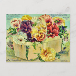 Färgbesprutade blomstermaskiner Vintage Förpacknin Vykort