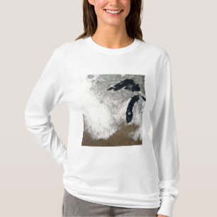 Färgbild av snö tee