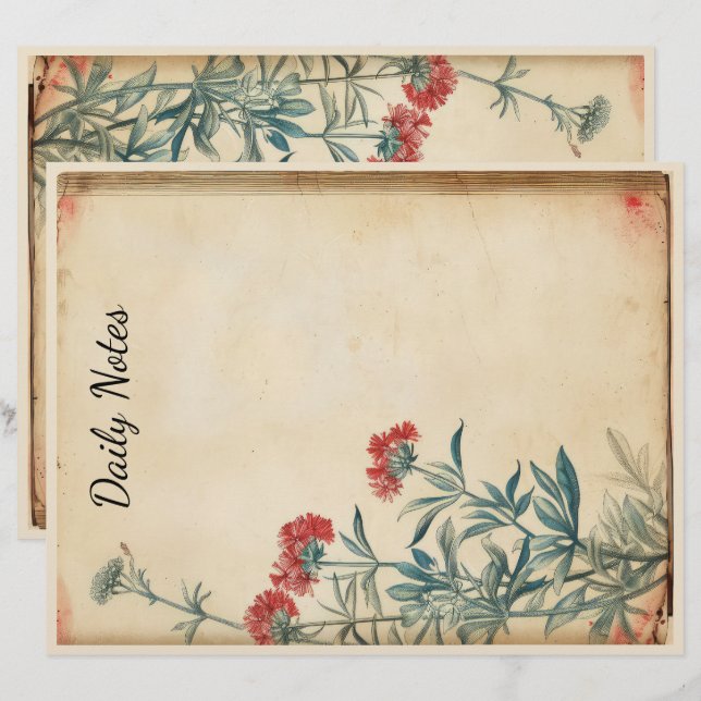 Färgbildepemera med pilblomma brevhuvud (Fram/baksida)