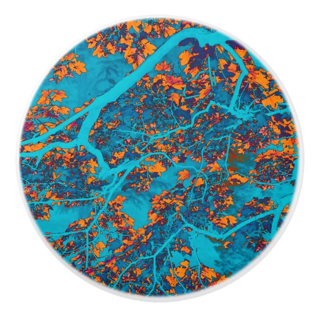 Färgblått och orange träd knopp (Framsidan)
