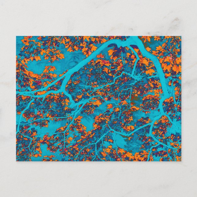 Färgblått och orange träd vykort (Framsida)