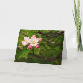 [Färgblommor] Apple-Blommar - Valfri Tillfälle Kort