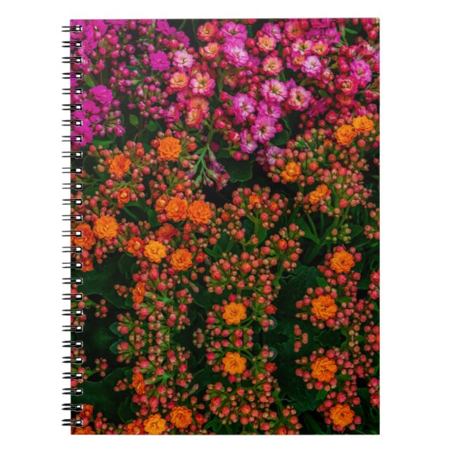 Färgblommor - bärbar dator anteckningsbok (Framsidan)
