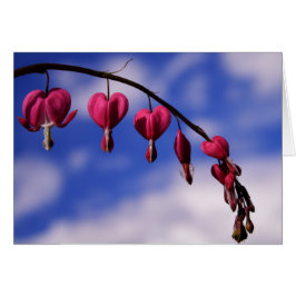 [Färgblommor] Blödning Hjärthälsningskort Hälsningskort