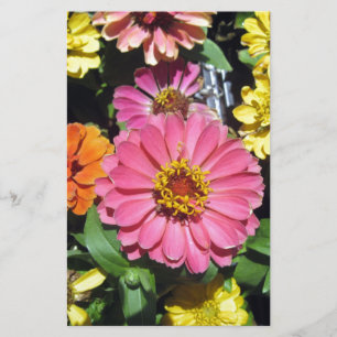 Färgblommor Brevpapper
