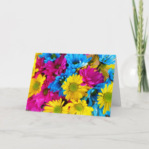 Färgblommor, Daisy - Rosa av blå Gult Kort