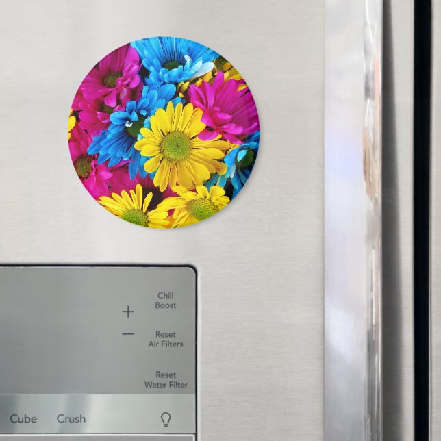 Färgblommor, Daisy - Rosa av blå Gult Magnet (In Situ (Fridge))