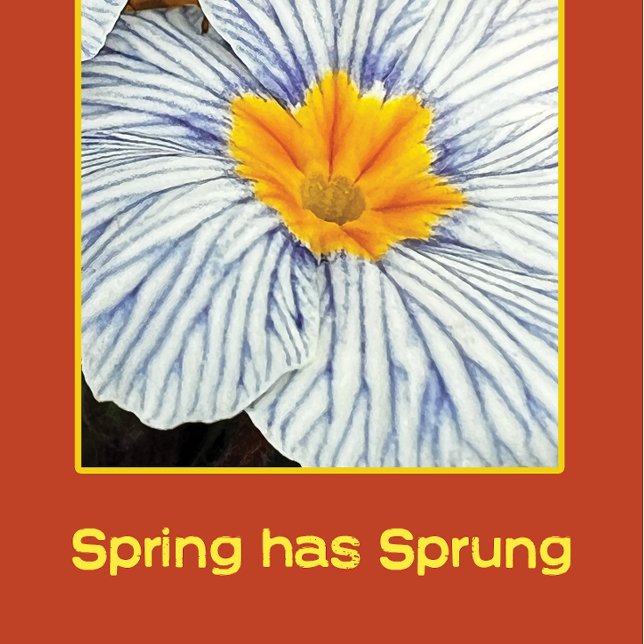 Färgblommor i vår blommigt (Skapare uppladdad)