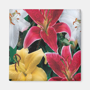 Färgblommor, magnet