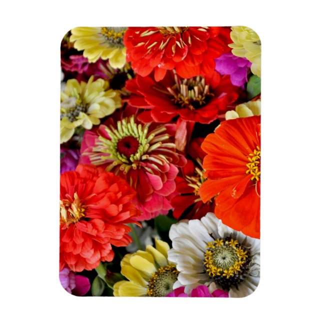 Färgblomstermagnet Magnet (Vertikal)
