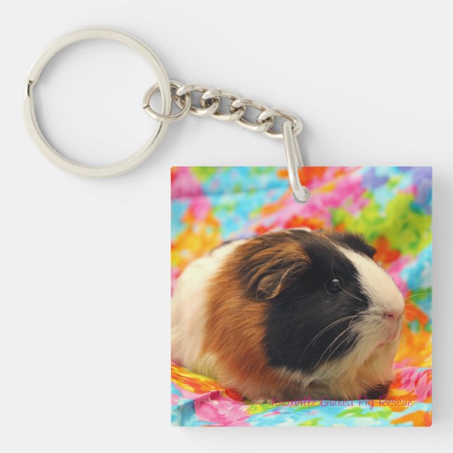 Färgbristningsförsökskanin Keychain (Framsidan)