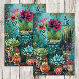 FÄRGCACTUS OCH SUCCULENTS-AVKOPPLING