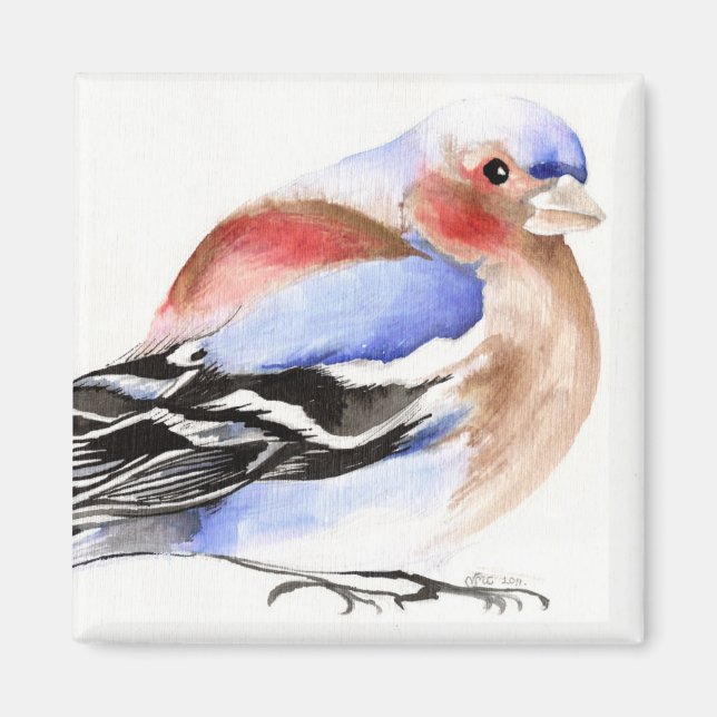 Färgchaffinch 2011 magnet (Framsidan)