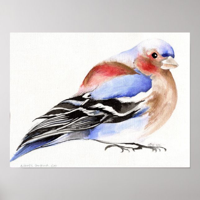 Färgchaffinch 2011 poster (Framsidan)