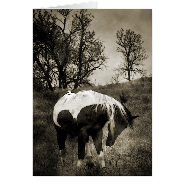 Färgen Hälsningskort (Framsidan)