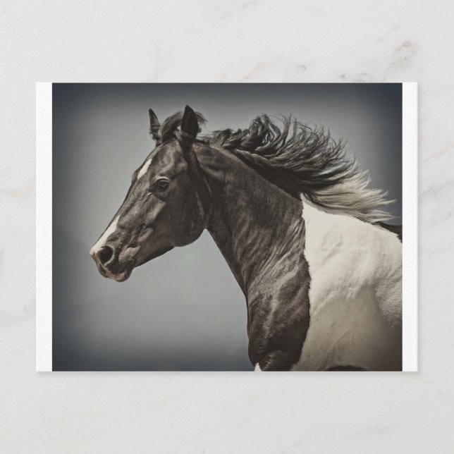 Färgen Vykort (Framsida)