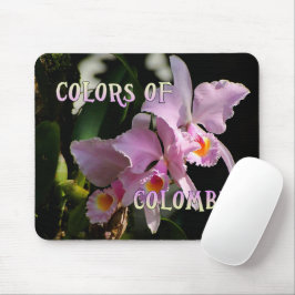 Färger av den Colombia Cattleya Orchidmusen Musmatta