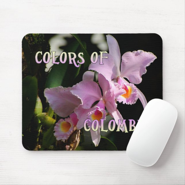 Färger av den Colombia Cattleya Orchidmusen Musmatta (Med mus)