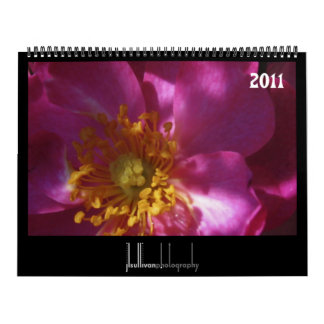 färger av kalendern för natur 2011 kalender