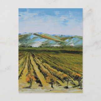 Färger av Napa Valley, vinland Kalifornien Vykort
