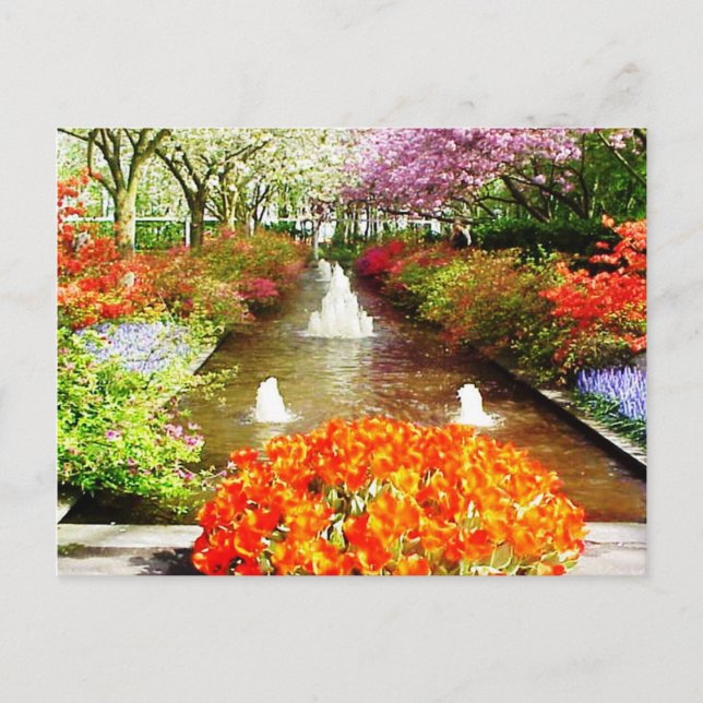 Färger av vykort för livförsäkring (Framsida)