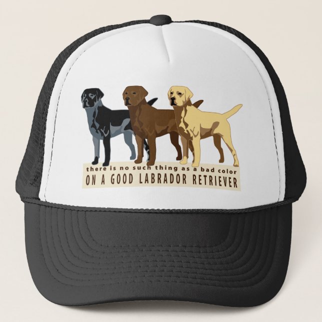 Färger för Labrador Retriever 3 Keps (Framsida)