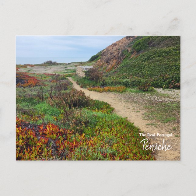 Färger från Peniche- Portugal Vykort (Framsida)