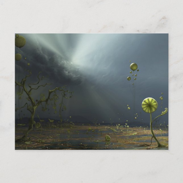 Färger i stormen vykort (Framsida)