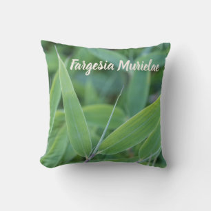 Fargesia murielae Bamboo-växten för trädgårdsmästa Kudde