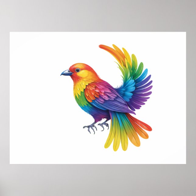 Färgfåglar Poster (Framsidan)