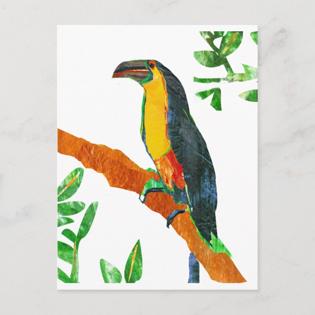 Färgfåglar Toucan Vykort (Framsida)