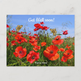 Färgfält med röda vallmosor - välkommen att återhä vykort