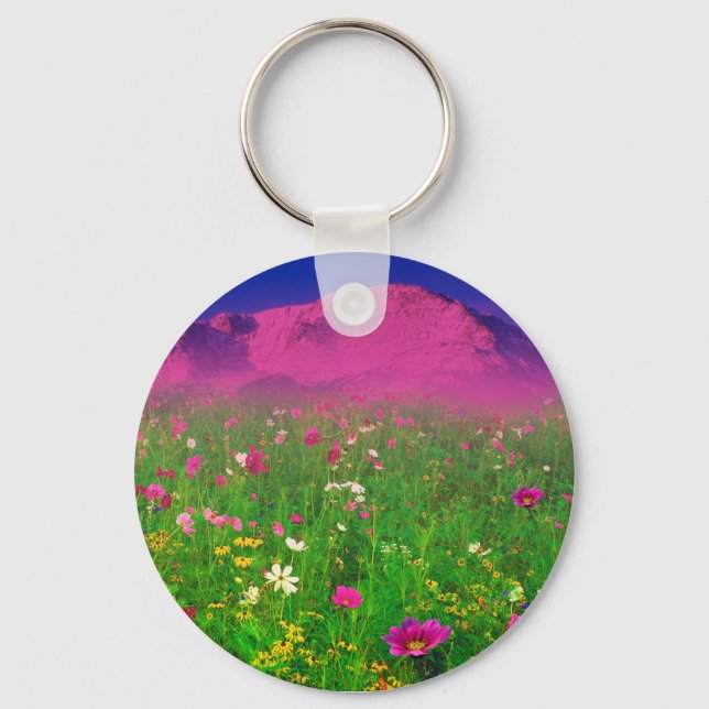 Färgfärgad färgadon, pikes toppberg nyckelring (Framsida)