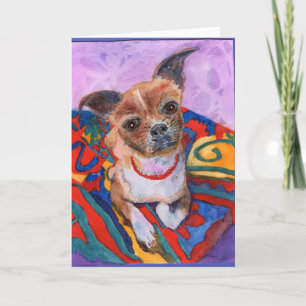 Färgfärgning av söt chihuahua kort