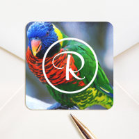 Färgfläckad grönt (blått lorikeet), fågelmonogram