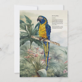 Färgfläckad handmålad blå-haltig Macaw Tack Kort