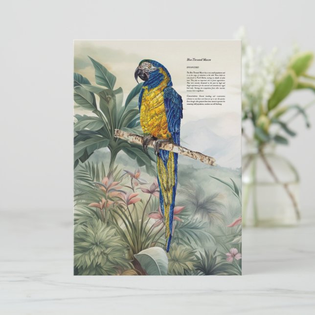 Färgfläckad handmålad blå-haltig Macaw Tack Kort (Stående Fram)