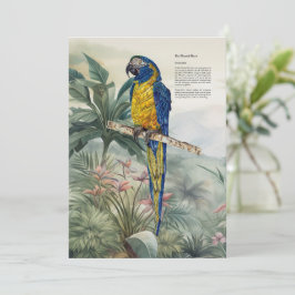 Färgfläckad handmålad blå-haltig Macaw Tack Kort