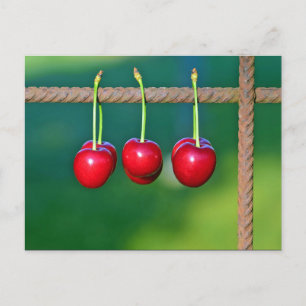 Färgfläckade rödkörsbär Fruit Photo Vykort