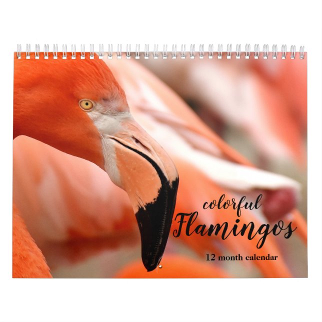 Färgfläckar 2026 kalender (Omslag)