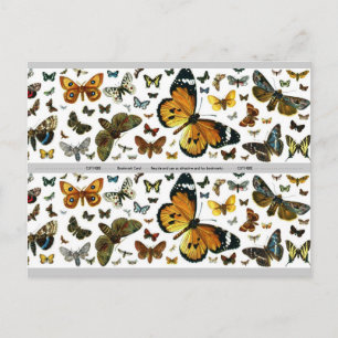 Färgfläckar Antiquarian Image Bookmark Vykort